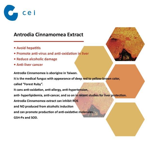 OEM Food Supplement Antrodia Cinnamomea Capsules Green Tea Extract Catechin Anti 5