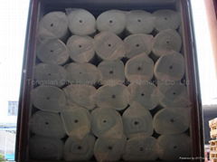 Fiberglass needled Mat