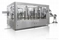 Bottled water washing filling capping machine 