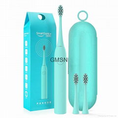 Hot Sale New Style Electric Toothbrush Manufacturer