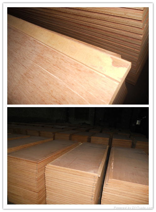 Container Flooring Plywood --DUK 2