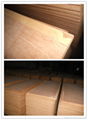 Container Flooring Plywood --DUK 2