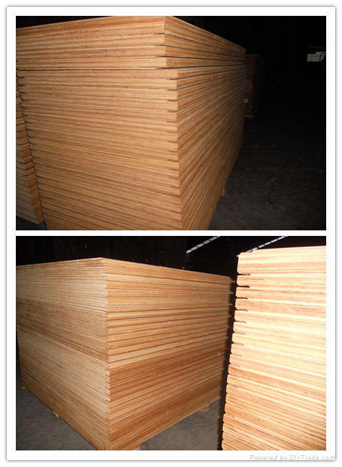Container Flooring Plywood --DUK 3