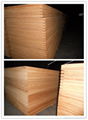 Container Flooring Plywood --DUK 3