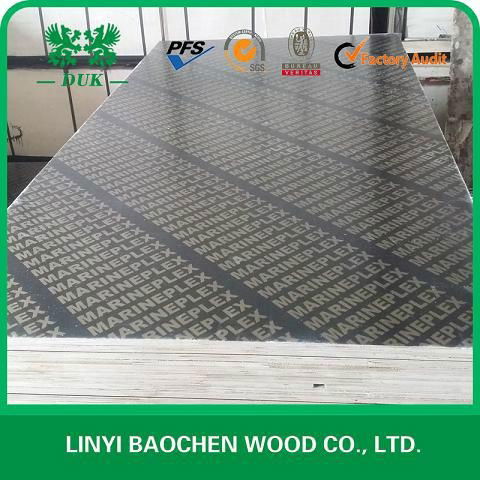 DUK - FILM faced plywood, marine plywood, shuttering plywood  2