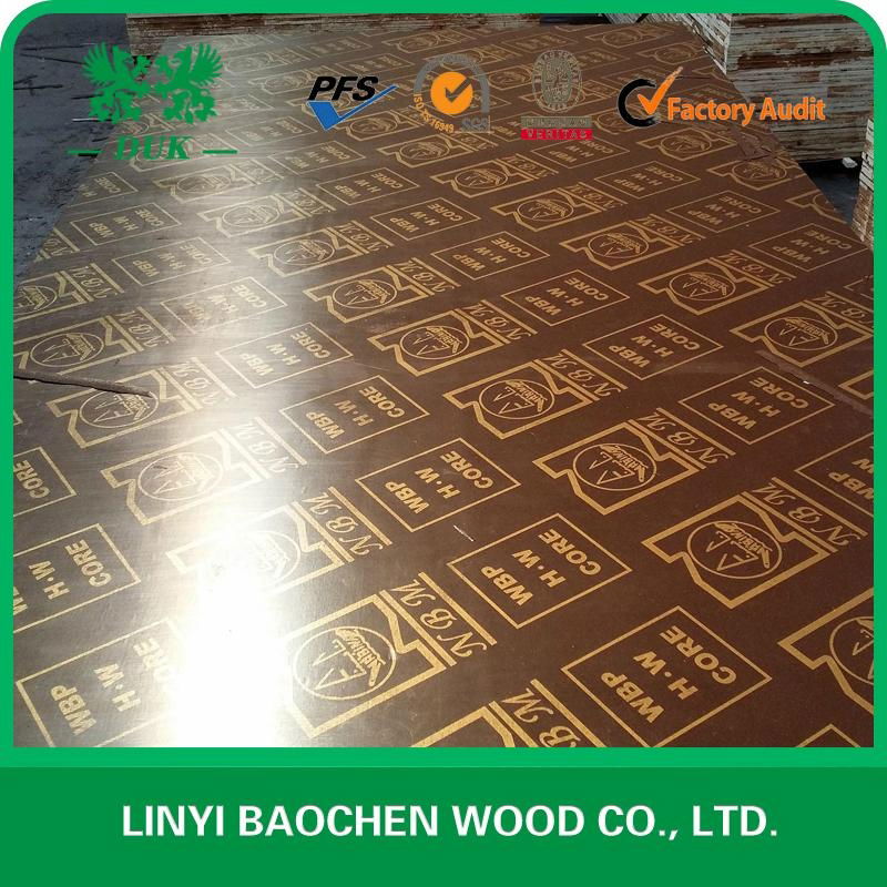 DUK - FILM faced plywood, marine plywood, shuttering plywood  3