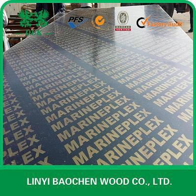 DUK - FILM faced plywood, marine plywood, shuttering plywood  5