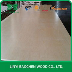 DUK birch plywood 