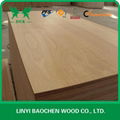 Bintangor Plywood  FSC PLYWOOD  3