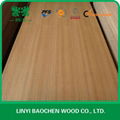 Teak Plywood ( Q/C &C/C) 2