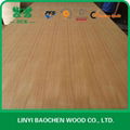 Teak Plywood ( Q/C &C/C) 1