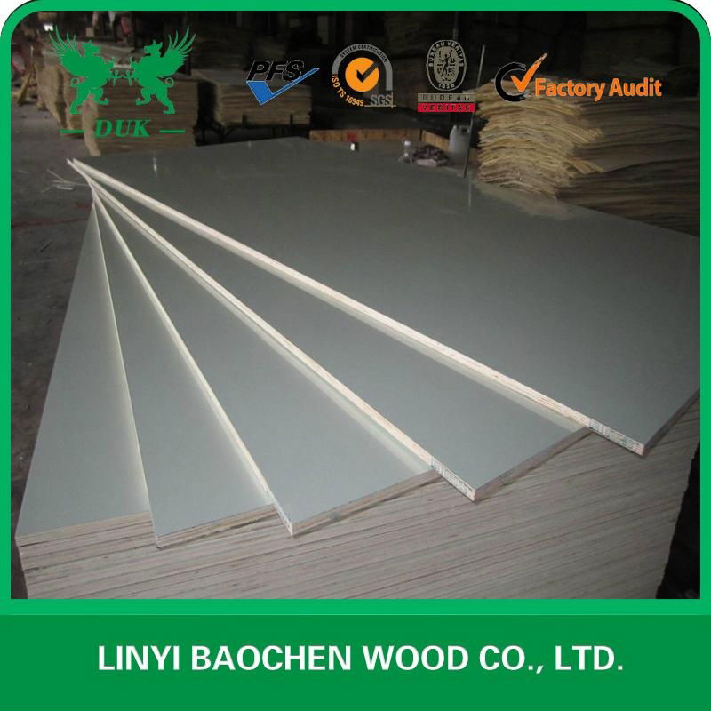 HPL PLYWOOD ---DUK 2