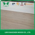 poplar plywood & FSC PLYWOOD 