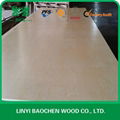 UV BIRCH PLYWOOD