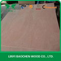 DUK- okoume plywood  -FSC PLYWOOD