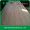 red oak plywood --DUK