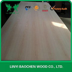 red oak plywood --DUK