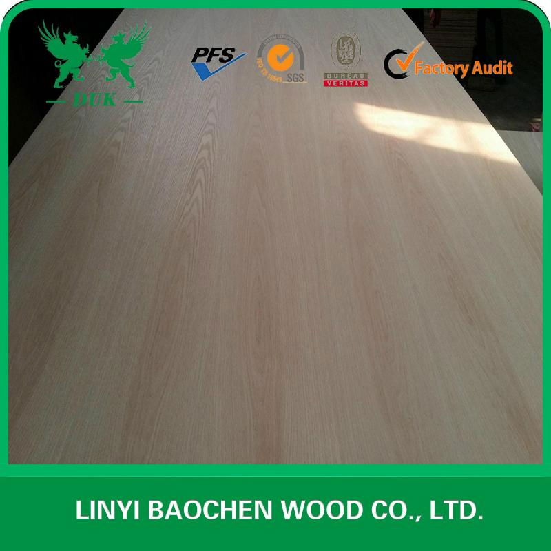 red oak plywood --DUK 2