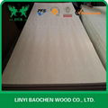 red oak plywood --DUK 4