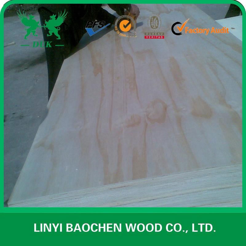 pine plywood & FSC PLYWOOD  2