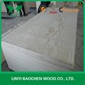 pine plywood & FSC PLYWOOD 