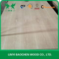 Ash Plywood  1