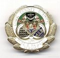 Metal Badge for Promotion