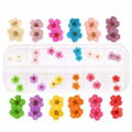 Nail Art 12 Colors Real Dried Flowers Nail Art Accessories,Five-Petals Flower 