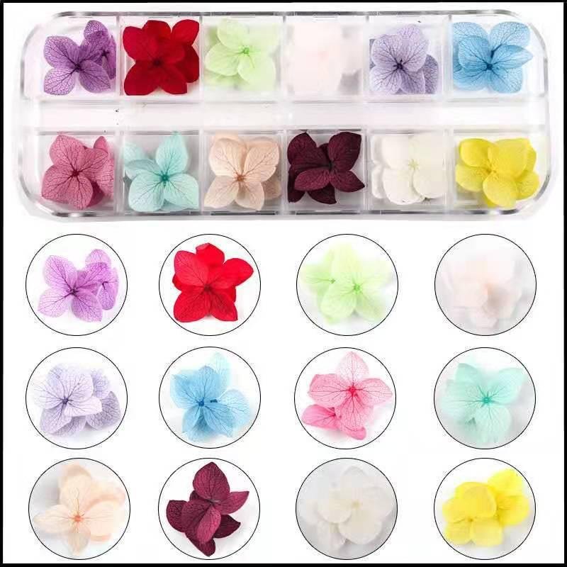 Nail Art 12 Colors Real Dried Flowers Nail Art Accessories,Five-Petals Flower  2