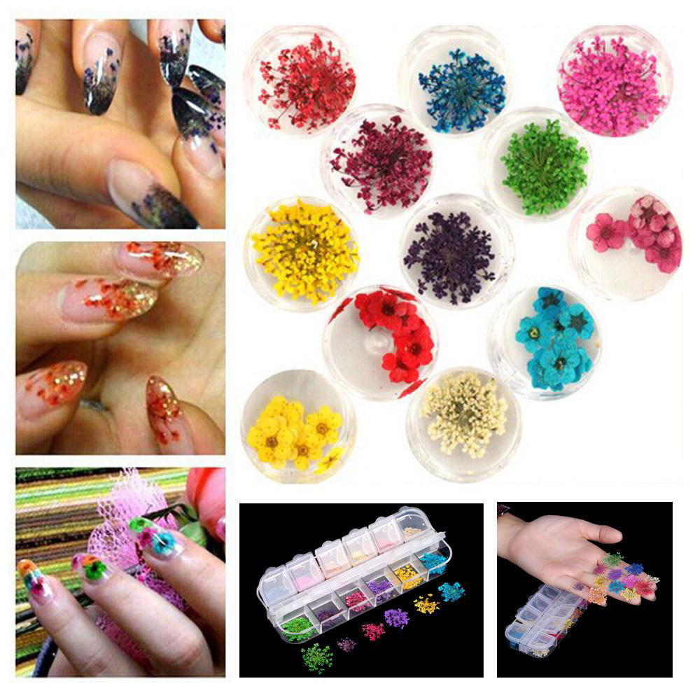 Nail Art 12 Colors Real Dried Flowers Nail Art Accessories,Five-Petals Flower  3