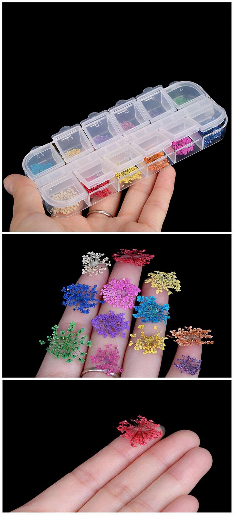 Nail Art 12 Colors Real Dried Flowers Nail Art Accessories,Five-Petals Flower  5