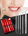 Personal Portable Stainless Steel Toothpicks Set for Teeth, Reusable Metal Tooth 1