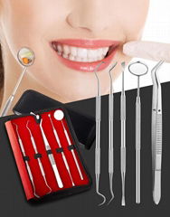 Personal Portable Stainless Steel Toothpicks Set for Teeth, Reusable Metal Tooth