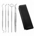 Personal Portable Stainless Steel Toothpicks Set for Teeth, Reusable Metal Tooth 6