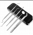Personal Portable Stainless Steel Toothpicks Set for Teeth, Reusable Metal Tooth 8