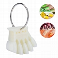 Crown Nail Swatch Sticks 50pcs Set Nail Sample With Ring 2