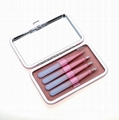 Gradient  Eyebrow Tweezer Set With Mirror  4