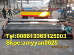 coil feeding Welded Wire Mesh