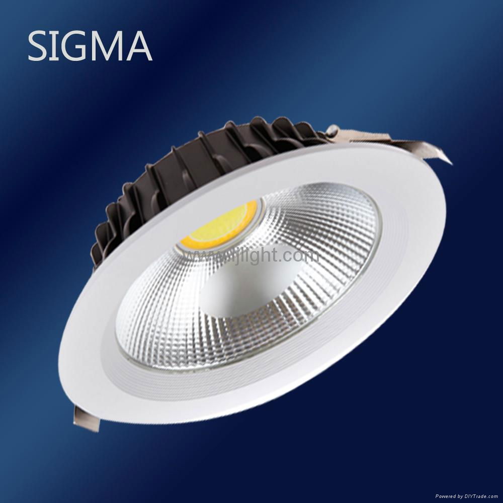 LED Downlights COB 20W