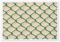 Diamond Wire Mesh chain link fence