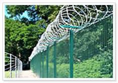 Wire Mesh Fences 