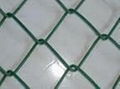 Diamond Wire Mesh chain link fence 4