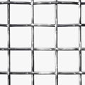 Square Wire Mesh  2