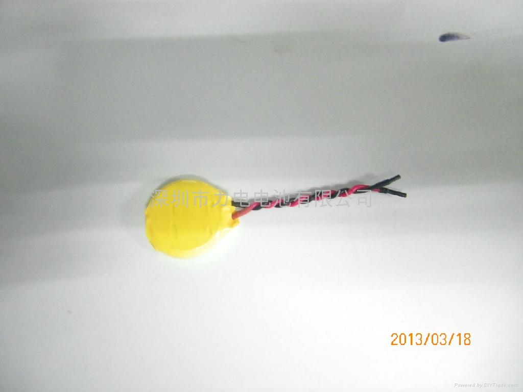锂锰电池CMOS电池CR2450纽扣电池 2