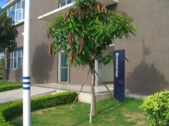 Brentorma Electricals (Shenzhen) Co.,Ltd. Brentorma Electricals (Shenzhen) Co.,Ltd.