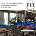 Carton Liner Bag in Box Line for