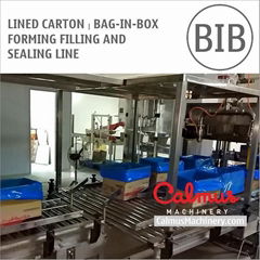 Carton Liner Bag in Box Line for Packaging Margarine Butter