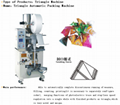 Triangle Packing Machine 1