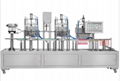 Plastic bottle Filling and Capping Machine 1