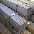 carbon steel Flat Bar